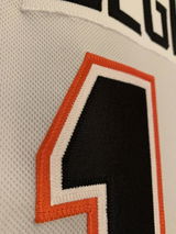Ryan Sando review photo