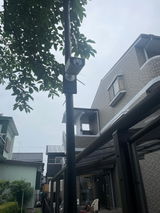 Naoko Watanabe review photo