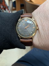 Brady W. review photo