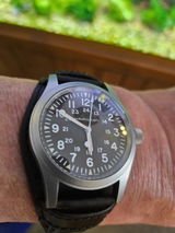 Dave D. review photo