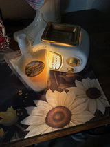 Joannie Guillotte review photo