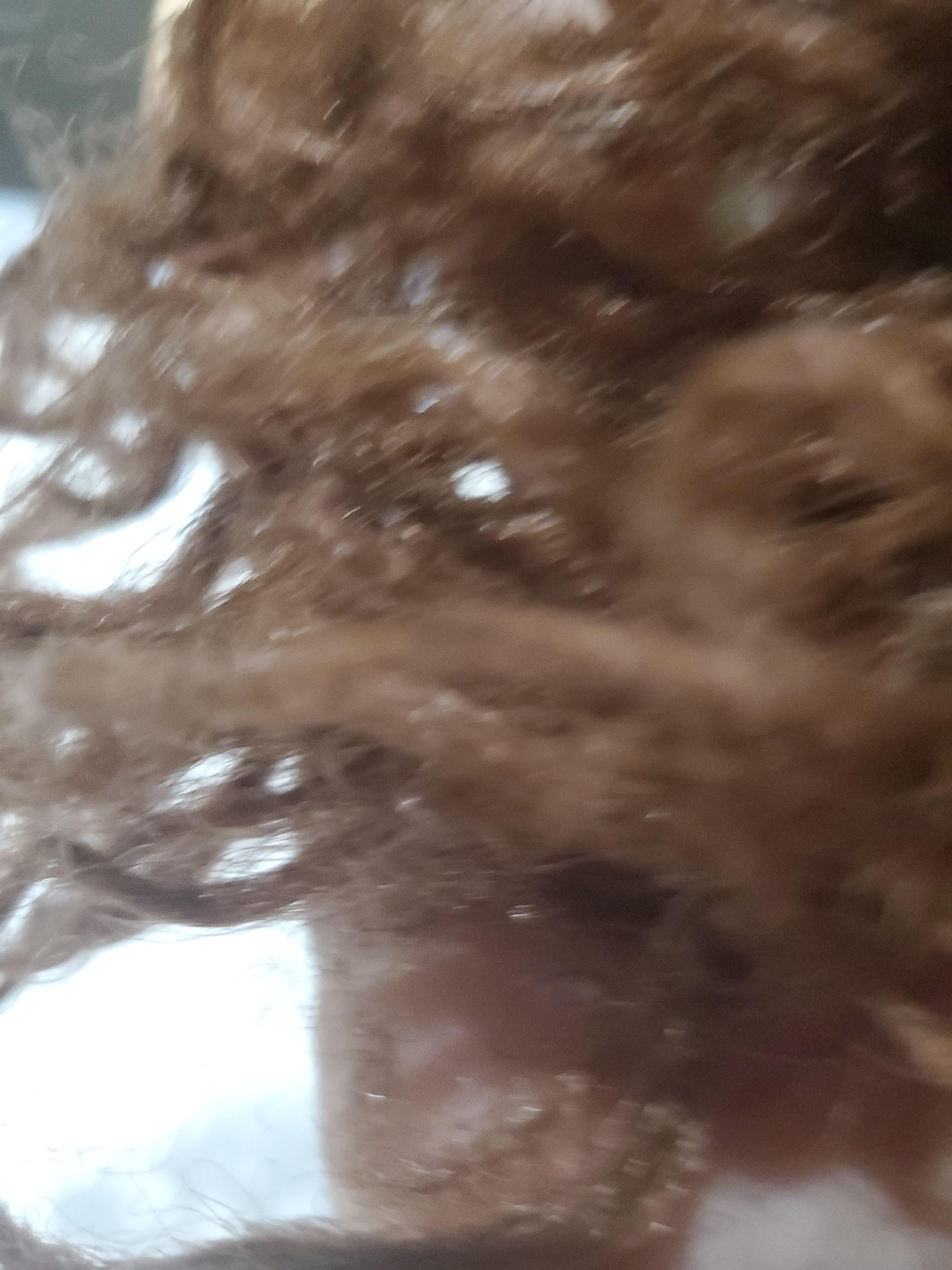 Rudyj review photo