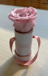 Infinity Rosen | Rosé Box | MINI