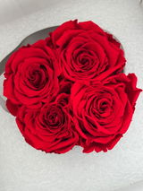 Infinity Rosen | Velvet Box rund | XS