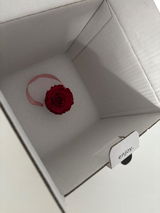 Infinity Rosen | Rosé Box | MINI