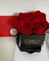 Infinity Rosen | Schwarze Box eckig | XS