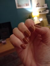 Dorothy review photo