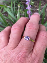 Elva review photo