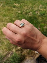 Charity review photo