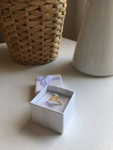 Roman review photo