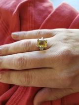 Carlie review photo