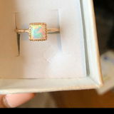 Shania review photo