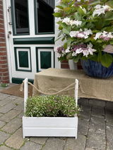 Annemarie zum Felde review photo