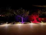 Christophe Hegi review photo