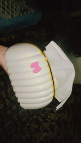 Ayesha review photo
