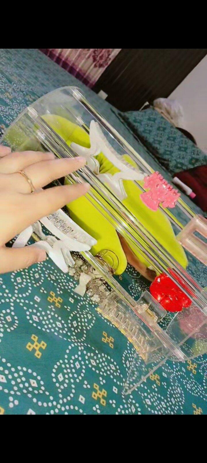Customer photo for claw clip organizer review