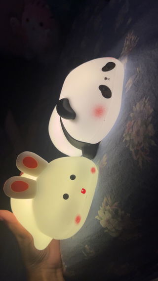 Customer photo for panda night light review