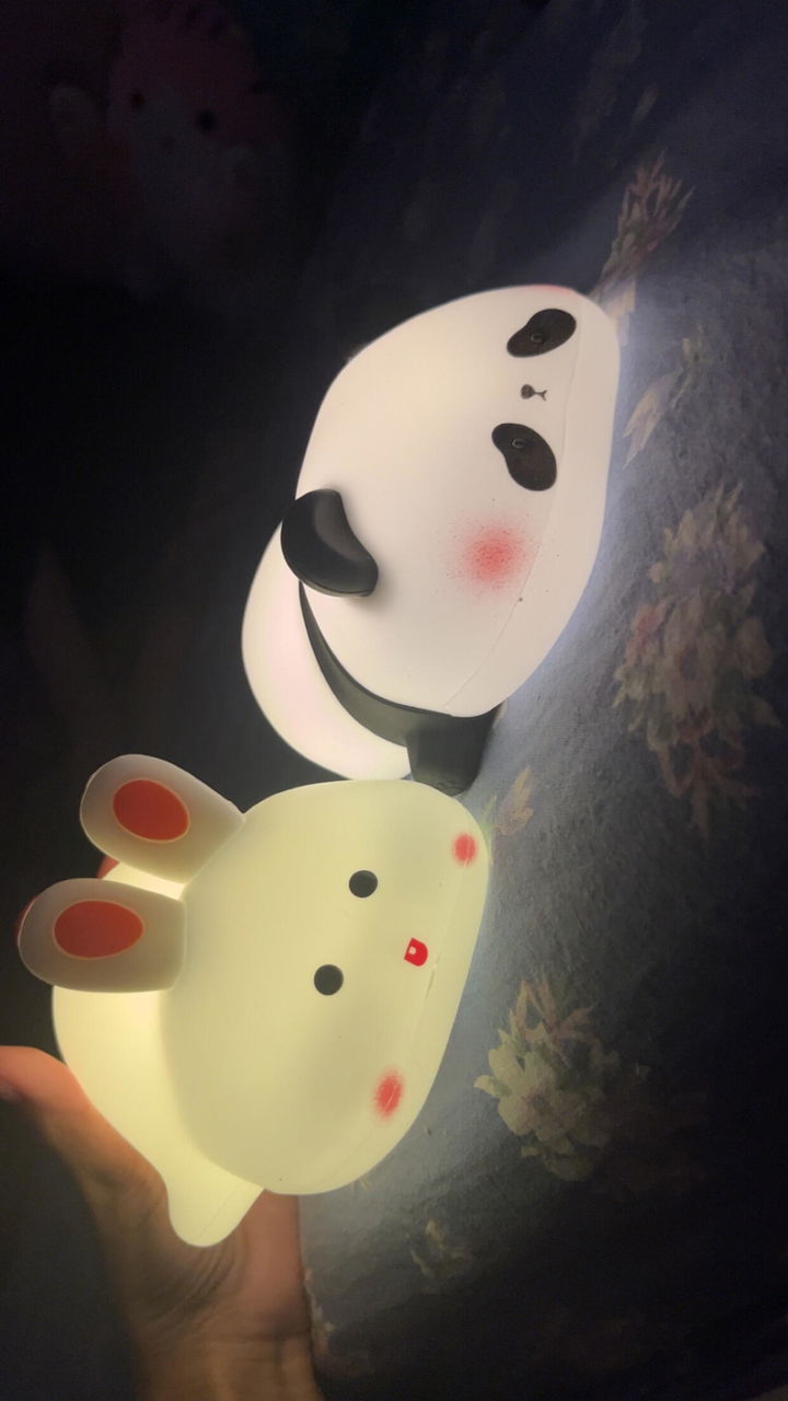 Customer photo for panda night light review