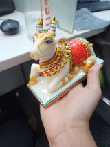 Riya jaiswal review photo