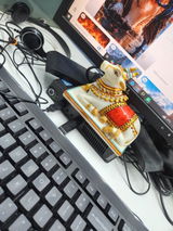 Anujpandey review photo