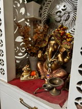 Satish Sharma review photo