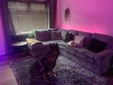 Anonymous review photo
