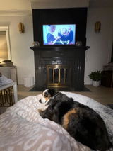 Maddie review photo