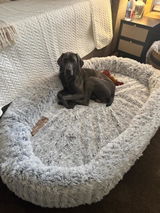 Gabby review photo