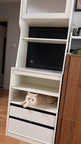Sabina review photo