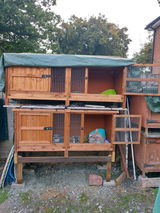 Cheryl, Kent. review photo