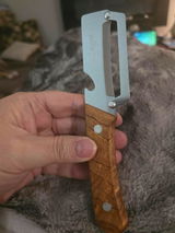 Hassan review photo