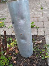 p.b. review photo