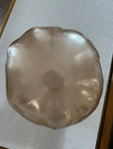 Gloriah V. review photo