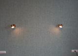 Gwenyth L. review photo
