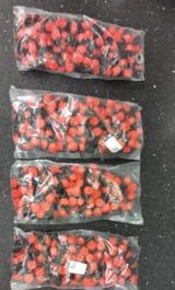 Alex S. review photo