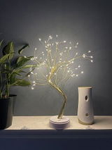 Victoria review photo