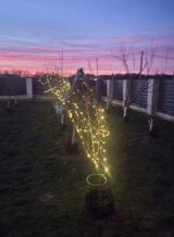 Chase T. review photo