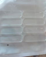 Cassandra Z. review photo
