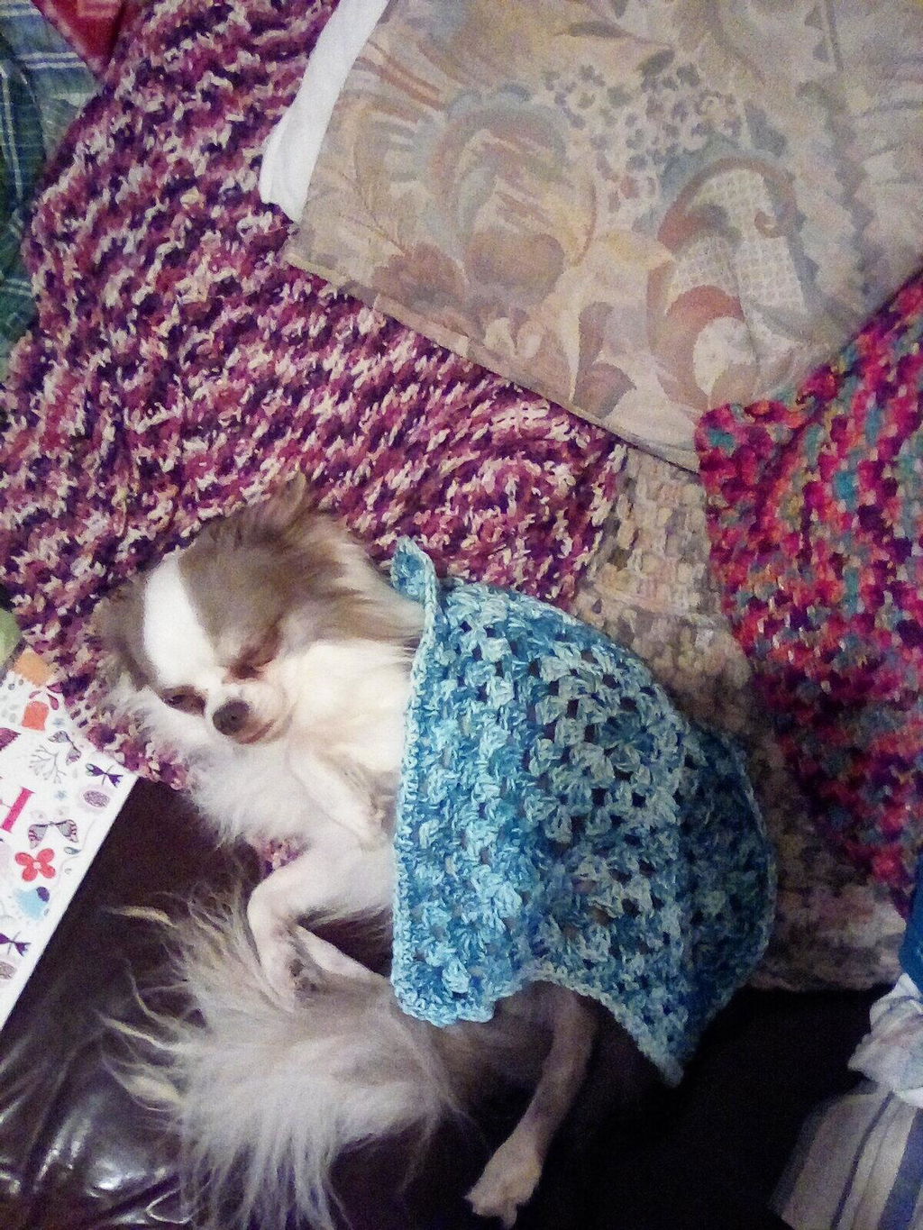 PetalPouch