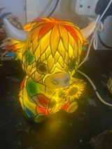 Fiona review photo