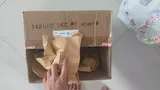 sylvielsw review photo