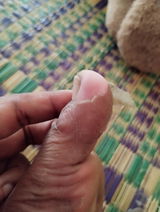 Sneha S. review photo