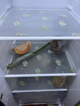 Ketaki More review photo