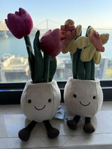 CECI LAM review photo