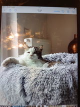 Mariella Basile review photo
