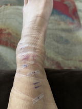 Melissa B. review photo