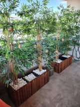 Cliente Amazon review photo