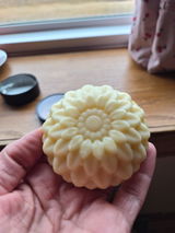 Aly review photo