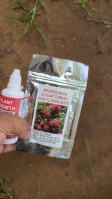 Anamikanair review photo