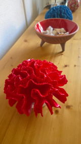 Asli Orhun review photo